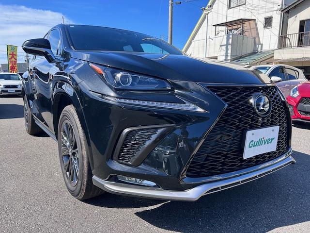 NX NX300 クール&ブライト 純正ナビ バックカメラ ブラインドスポットモニター レーンキープアシスト コーナーセンサー プリクラッシュセーフティ ACC レザーシート パワーシート シートヒーター シートエアコン 電動リアゲート(49枚目)