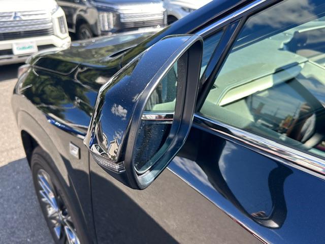 NX NX300 クール&ブライト 純正ナビ バックカメラ ブラインドスポットモニター レーンキープアシスト コーナーセンサー プリクラッシュセーフティ ACC レザーシート パワーシート シートヒーター シートエアコン 電動リアゲート(52枚目)