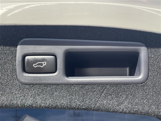 ハリアー プレミアム　９型ＡＬＰＡＮＥナビ　サンルーフ　モデリスタ　バックカメラ　９型プライベートモニター　クルコン　衝突被害軽減システム　レーンキープアシスト　横滑り防止装置　電動リアゲート　ビルトインＥＴＣ（33枚目）