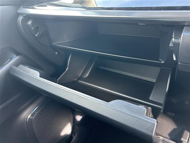 アルファード ２．５Ｓ　Ｃパッケージ　ナビ　フルセグ　Ｂｌｕｅｔｏｏｔｈ　バックカメラ　フリップダウンモニター　サンルーフ　モデリスタエアロ　デジタルインナーミラー　ブラインドスポットモニター　ＡＣ１００Ｖ　ビルトインＥＴＣ　ドラレコ（21枚目）