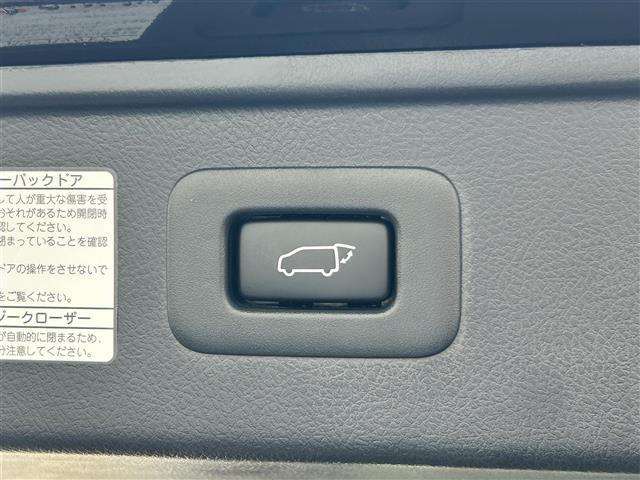 アルファード ２．５Ｓ　Ｃパッケージ　ナビ　フルセグ　Ｂｌｕｅｔｏｏｔｈ　バックカメラ　フリップダウンモニター　サンルーフ　モデリスタエアロ　デジタルインナーミラー　ブラインドスポットモニター　ＡＣ１００Ｖ　ビルトインＥＴＣ　ドラレコ（31枚目）