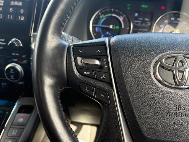 アルファードハイブリッド ＳＲ　Ｃパッケージ　純正１０．５インチナビ　全方位カメラ　サンルーフ　ＪＢＬサウンド　ＢＳＭ　デジタルインナーミラー　フリップダウンモニター　ＴＲＤエアロ　両側パワースライドドア　パワーバックドア　ＥＴＣ　ＬＥＤライト（17枚目）