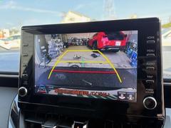 ڥХå˥۸Υα˥˱ǤФȤǤޤθʤѤ䡢㳲ʪȤεΥ򤷤äǧ뤳ȤǤޤ֤ˤǤ 4