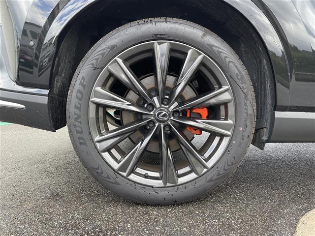 RX RX350 Fスポーツ パノラミックビューモニター/赤レザーシート/メーカーナビ/フルセグTV/Bluetooth/レーダークルコン/ブラインドスポットモニター/パワーバックドア/全席シートヒータ/全席エアシート/(28枚目)