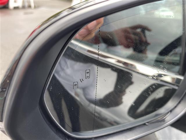 RX RX350 Fスポーツ パノラミックビューモニター/赤レザーシート/メーカーナビ/フルセグTV/Bluetooth/レーダークルコン/ブラインドスポットモニター/パワーバックドア/全席シートヒータ/全席エアシート/(30枚目)