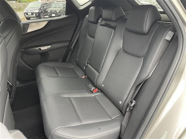 NX NX450h+ Fスポーツ 4WD/パノラミックビューモニター/ブラックレザー/メーカーナビ/フルセグTV/Bluetooth/DVD再生/レクサスセーフティシステム/クリアランスソナー/前後ドライブレコーダー/ビルトイン2.0(23枚目)
