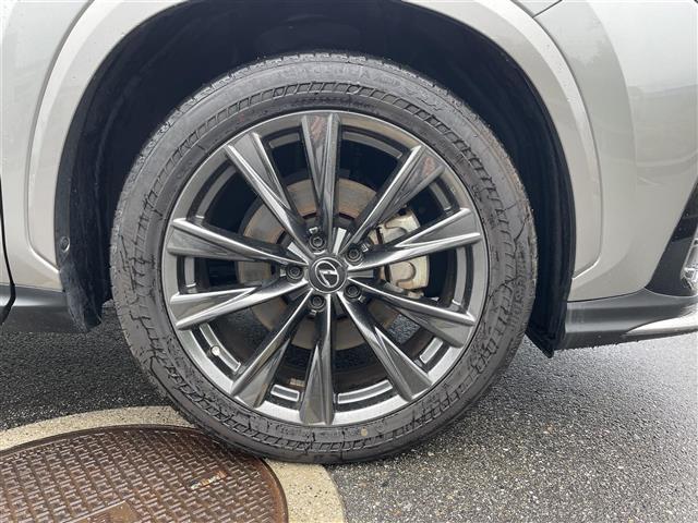 NX NX450h+ Fスポーツ 4WD/パノラミックビューモニター/ブラックレザー/メーカーナビ/フルセグTV/Bluetooth/DVD再生/レクサスセーフティシステム/クリアランスソナー/前後ドライブレコーダー/ビルトイン2.0(30枚目)