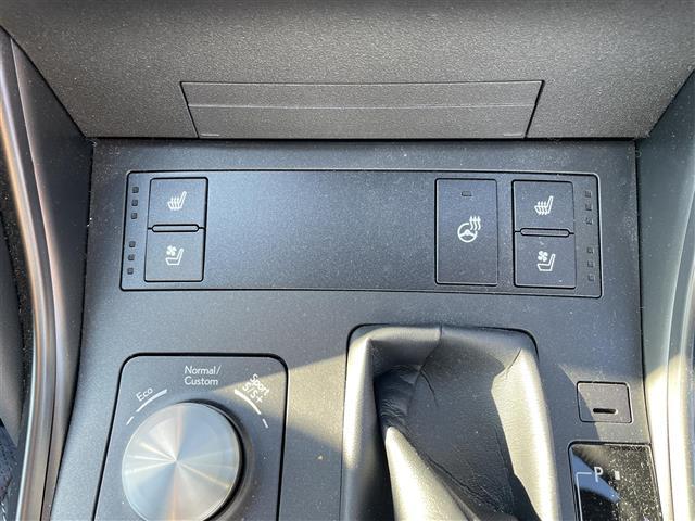 ＩＳ ＩＳ３００　ＦスポーツモードブラックＳ　サンルーフ／オレンジキャリパー／ＲＳＲローダウンサス／純正サスペンション有／パノラミックビューモニター／純正メーカーナビ／フルセグＴＶ／Ｂｌｕｅｔｏｏｔｈ／ハーフレザー／シートヒーター／エアシート（15枚目）