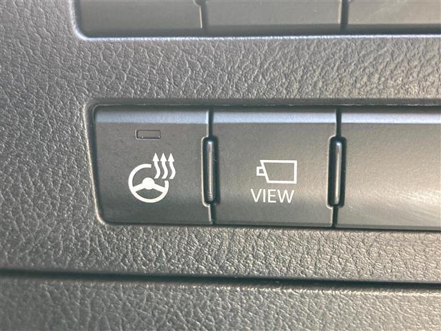 ＲＸ ＲＸ３００　Ｆスポーツ　プッシュスタート．ＭＴモード付ＡＴ．１００Ｖ充電．オートエアコン．クルーズコントロール．ＥＴＣ２．０．ＵＳＢ．バックカメラ．純正ナビ．サンルーフ．電動リアゲート．パワーシート．シートヒーター．ＬＥＤ（32枚目）