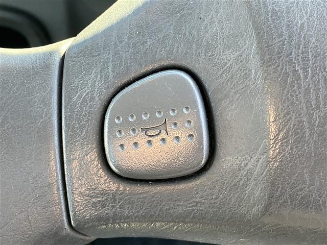 ハイゼットトラック エアコン・パワステ スペシャル マニュアルエアコン/パワーステアリング/純正フロアマット/ハロゲンヘッドライト(17枚目)