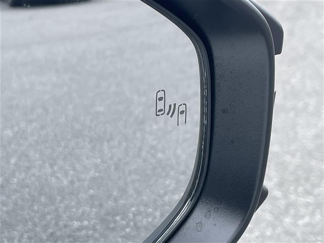 プリウス X(19枚目)