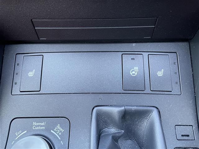 ＩＳ ＩＳ３００ｈ　Ｆスポーツ　ワンオーナー　純正ナビ　フルセグＴＶ　Ｂｌｕｅｔｏｏｔｈ接続　ＤＶＤ再生　追従クルコン　ＢＳＭ　ＰＫＳＡ　ＰＫＳＢ　電動Ｐ・オートブレーキホールド　ステアリングヒーター　ＬＥＤオートライト（17枚目）