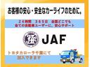 ハイブリッドSi(30枚目)