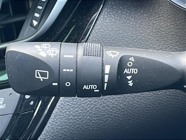 Ｃ－ＨＲ Ｇ　禁煙車　純正ＳＤナビ　プリクラッシュセーフティ　ＢＳＭ　ＬＫＡ　レーダークルーズコントロール　クリアランスソナー　バックカメラ　オートライト　オートハイビーム　ＬＥＤヘッドライト　フォグランプ　ＥＴＣ（30枚目）