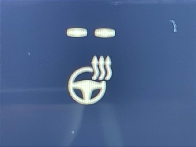 NX NX350h バージョンL 禁煙車 レクサスセーフティシステム 純正ディスプレイオーディオナビ AppleCarPlay クルーズコントロール クリアランスソナー レーンキープアシスト アラウンドビュー パノラマサンルーフ(30枚目)