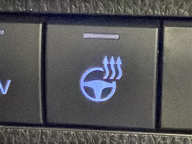 ＲＡＶ４ ＰＨＶ ブラックトーン　禁煙車　純正コネクトナビ　パノラミックビューモニタ　プリクラッシュセーフティ　ＢＳＭ　レーダークルーズコントロール　パワーバックドア　ＬＫＡ　ステアリングヒーター　ＡＣ１００Ｖ　充電ケーブル　純正ＡＷ（9枚目）