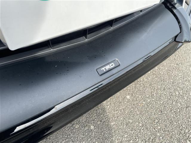 アルファード G サイドリフトアップ 純正SDナビCD/DVD/AM/FM/BT) フルセグTV TVキャンセラー バックカメラ 純正フリップダウンモニタ 両側パワースライドドア デジタルインナーミラー レーダークルーズ(30枚目)