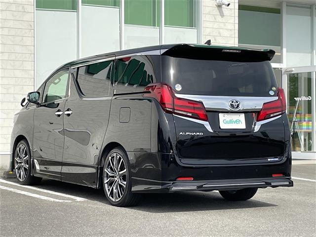 アルファード G サイドリフトアップ 純正SDナビCD/DVD/AM/FM/BT) フルセグTV TVキャンセラー バックカメラ 純正フリップダウンモニタ 両側パワースライドドア デジタルインナーミラー レーダークルーズ(43枚目)