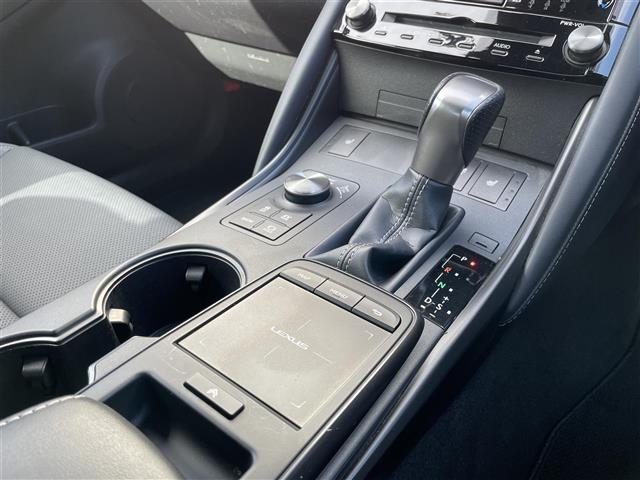 IS IS300h Fスポーツ 純正ナビ Bluetooth フルセグTV DVD CD 全方位カメラ D/N席パワーシート D/N席シートヒーター 前後ドライブレコーダー レーダークルーズコントロール 衝突軽減ブレーキ ETC(28枚目)