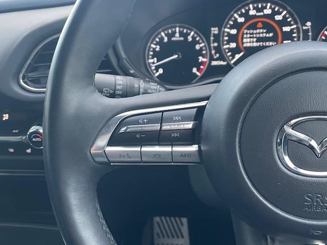 ＣＸ－３０ ２０Ｓ　プロアクティブ　ツーリングセレクション　純ナビ／全カメ／ドラレコ／ＥＴＣ／ライダークルーズコントロール／ＨＵＤ／ＢＳＭ／パドルシフト／電動ＰＢ／オートＢＨ／電格ウィンカーミラー／革ステ／ステスイ／ステアヒーター／スマートブレーキサポート（7枚目）