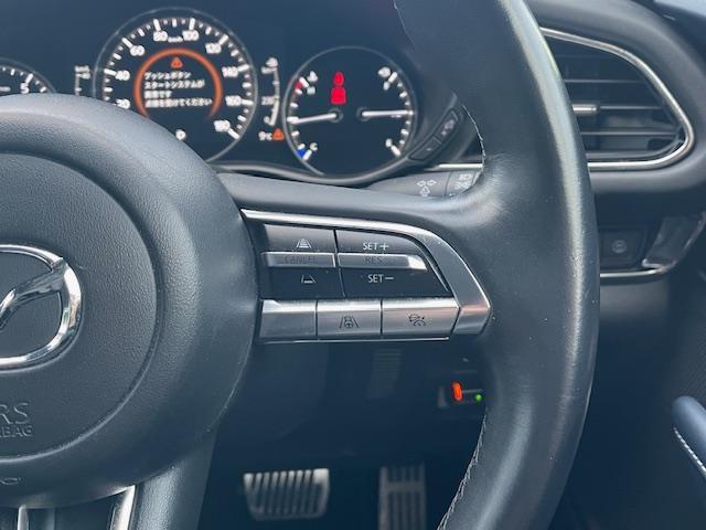ＣＸ－３０ ２０Ｓ　プロアクティブ　ツーリングセレクション　純ナビ／全カメ／ドラレコ／ＥＴＣ／ライダークルーズコントロール／ＨＵＤ／ＢＳＭ／パドルシフト／電動ＰＢ／オートＢＨ／電格ウィンカーミラー／革ステ／ステスイ／ステアヒーター／スマートブレーキサポート（8枚目）
