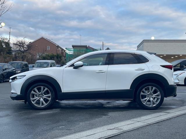 ＣＸ－３０ ２０Ｓ　プロアクティブ　ツーリングセレクション　純ナビ／全カメ／ドラレコ／ＥＴＣ／ライダークルーズコントロール／ＨＵＤ／ＢＳＭ／パドルシフト／電動ＰＢ／オートＢＨ／電格ウィンカーミラー／革ステ／ステスイ／ステアヒーター／スマートブレーキサポート（33枚目）