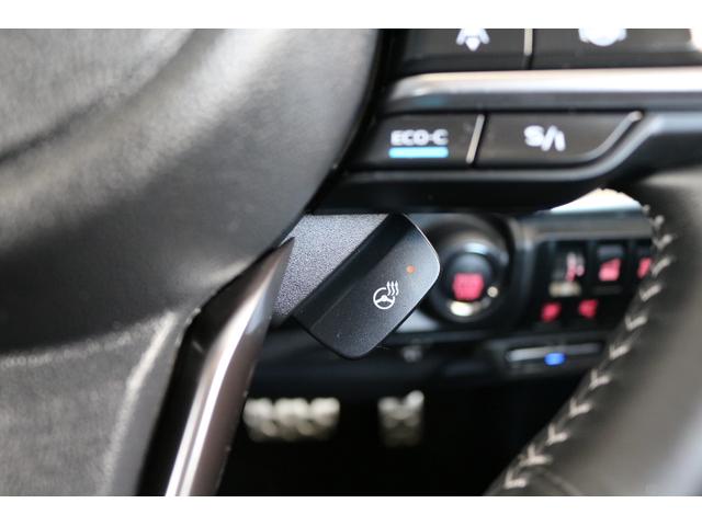 フォレスター アドバンス　ＬＥＤライナー　電動リヤゲート　ルーフレール付き　２年間走行距離無制限部分保証付　ワンオーナー　アイサイト３搭載車　衝突被害＆後退時被害軽減ブレーキ　後側方警戒＆停止保持システム　パナソニックナビ　３方向カメラ　ＥＴＣ２．０　ドラレコ　　ルーフレール（32枚目）