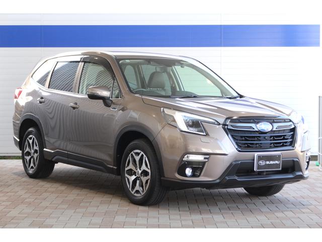 フォレスター ツーリング（アイサイト搭載車）リヤエンターモニター　ナビ（8枚目）