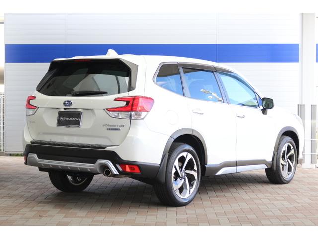 フォレスター アドバンス ナビ・ETC・ドラレコ付・新品タイヤ4本交換付き(10枚目)