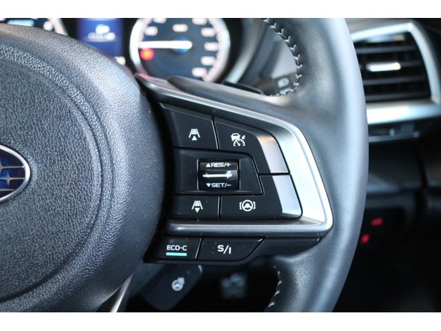 フォレスター アドバンス ナビ・ETC・ドラレコ付・新品タイヤ4本交換付き(30枚目)