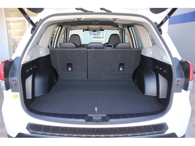 フォレスター アドバンス ナビ・ETC・ドラレコ付・新品タイヤ4本交換付き(48枚目)