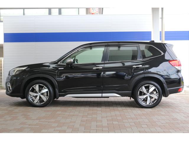 フォレスター アドバンス(12枚目)