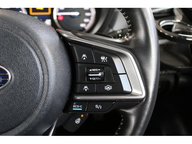 フォレスター アドバンス ナビ Rカメラ ETC パワーリヤゲート(30枚目)