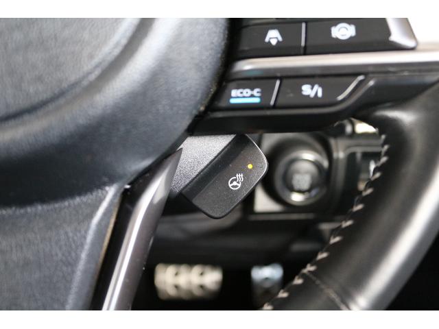 フォレスター アドバンス ナビ Rカメラ ETC パワーリヤゲート(31枚目)