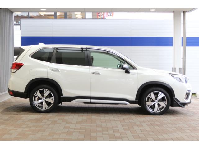 フォレスター アドバンス　ナビ・ＥＴＣ・ドラレコ付き（9枚目）