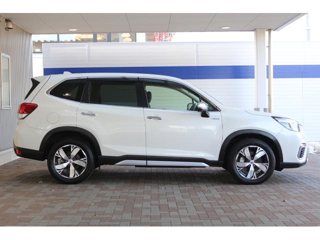 フォレスター アドバンス(9枚目)