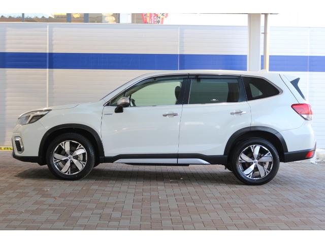 フォレスター アドバンス(12枚目)