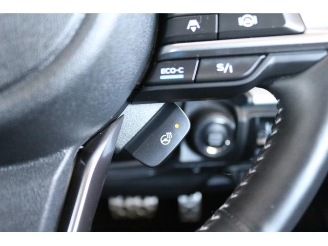 フォレスター アドバンス(31枚目)