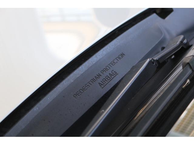 フォレスター アドバンス(46枚目)