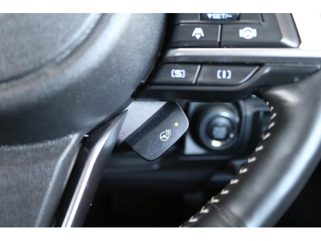 フォレスター ＸＴ－エディション　ナビ　Ｒカメラ　ＥＴＣ　ドラレコ（32枚目）