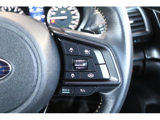 XV アドバンス ナビ Rカメラ ETC ドラレコ(32枚目)