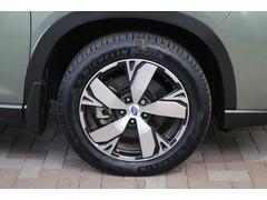 ΤͤˤǽǤޤϤäǤ礻ݣݣ 7