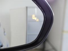 ֥饤ɥݥåȥ˥ټξΡɥߥ顼Ǥϳǧˤ塢¦ꥢ¸ߤξܶᤷƤξ⸡Τɥߥ顼ܤ줿̣ţĥ󥸥ޤ 5