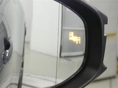 �֥饤��ɥ��ݥåȥ�˥����������ټ����������ξ���Ρ��ɥ��ߥ顼�Ǥϳ�ǧ���ˤ����塢¦�����ꥢ��¸�ߤ����ξ����ܶᤷ�Ƥ����ξ�⸡�Τ��ɥ��ߥ顼����ܤ��줿�̣ţĥ��󥸥����������������ޤ��� 6