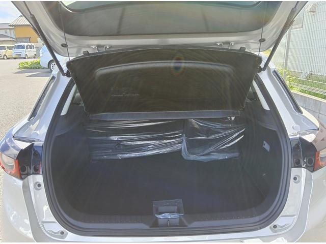 ＣＸ－３ １５Ｓ　ツーリング（65枚目）
