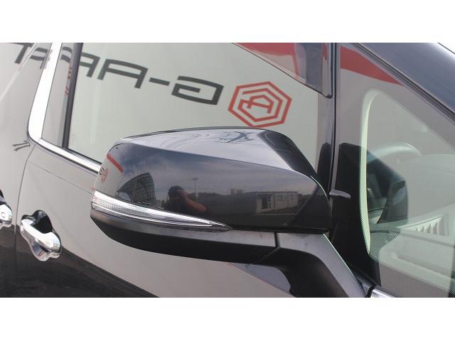 ヴェルファイア ２．５Ｚ　ＴＲＤフロントエアロ／純正１０型ナビ／ＯＰ衝突軽減／バックカメラ／両側電動スライドドア／地デジ／レーダークルコン／（22枚目）