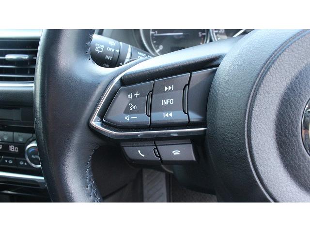 アテンザワゴン ＸＤ　１オーナー／純正ナビ／Ｂカメラ／ＴＶ／衝突軽減／ＥＴＣ／ＬＥＤライト／クルーウコントロール／（39枚目）