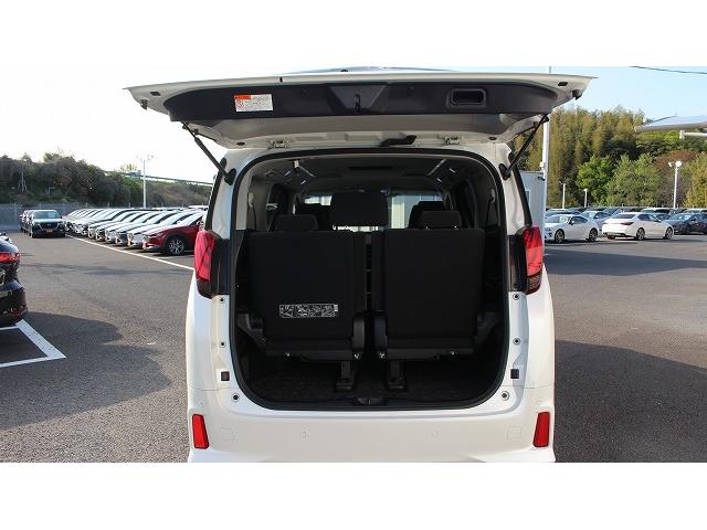 アルファード ２．５Ｓ　１オーナー／１０型ナビ／両側電動／７人乗／運転支援／クルコン／ＬＥＤ（29枚目）