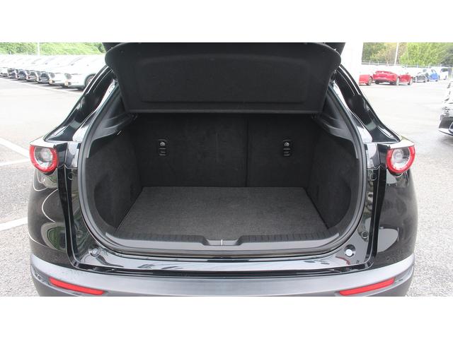 CX-30 X Lパッケージ 純正ナビ 地上デジタル放送 BOSEサウンド ETC シートヒーター 黒革シート パワーバックドア 360度ビューモニター レーダークルーズコントロール LEDヘッドライト レーンキープアシスト(33枚目)