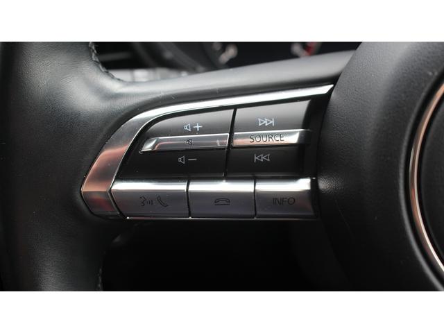CX-30 X Lパッケージ 純正ナビ 地上デジタル放送 BOSEサウンド ETC シートヒーター 黒革シート パワーバックドア 360度ビューモニター レーダークルーズコントロール LEDヘッドライト レーンキープアシスト(45枚目)